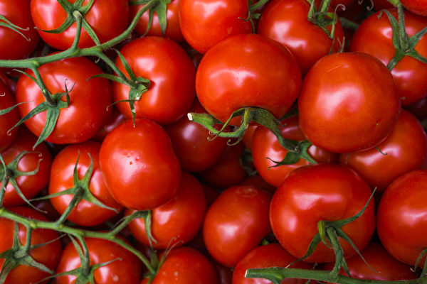 中國番茄醬出口遭意大利抵制 積壓如山