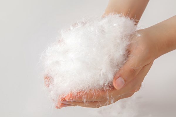 冬天來了 大陸1噸鴨絨價格從17萬漲至58萬