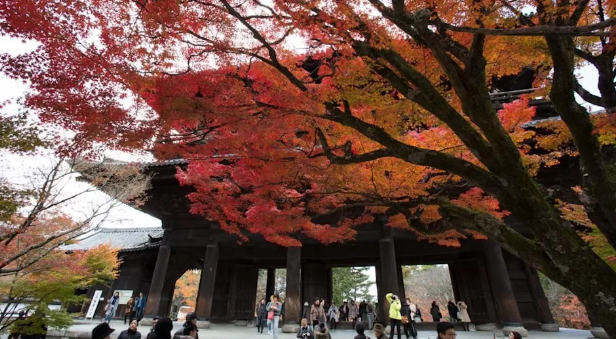 中国人不来也行 日记者赴京都「被旅游现况吓到」:人间地狱