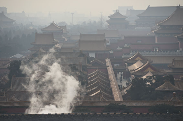 北京白羽鸟「平平」死亡 引政治联想