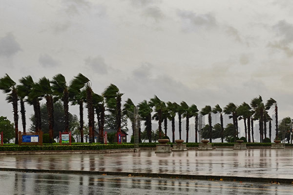 知名房企起訴武漢市蔡甸區資建局 索賠逾10億