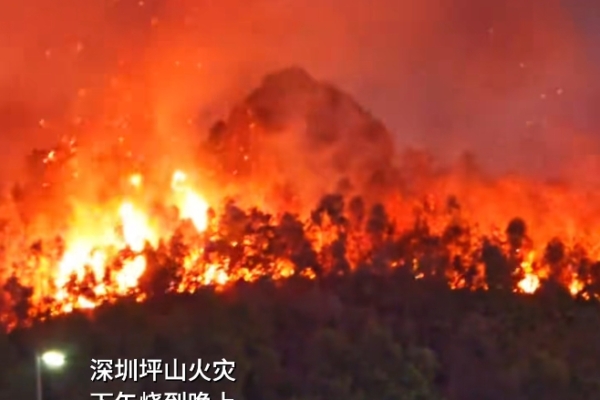 深圳技術大學附近突發山火 現場火光衝天