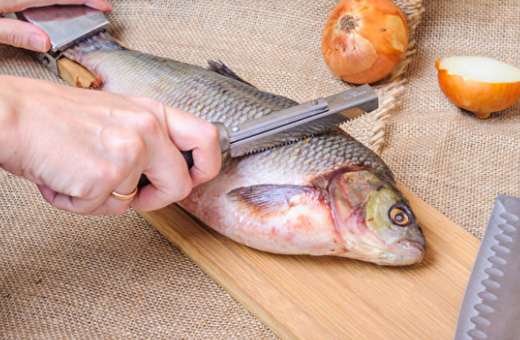 「活鱼竟靠『麻醉药』撑命?中国黑心鱼贩被揭:你以为吃的是鲜鱼,其实吞的是药!」