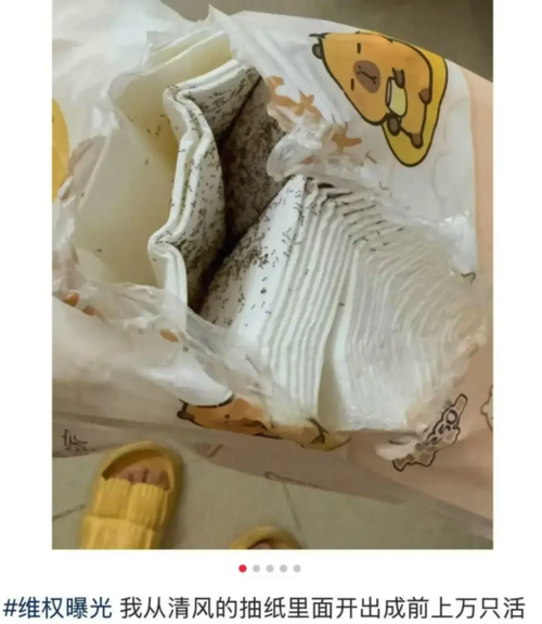 廣東消費者投訴:清風抽紙內驚現大量活螞蟻