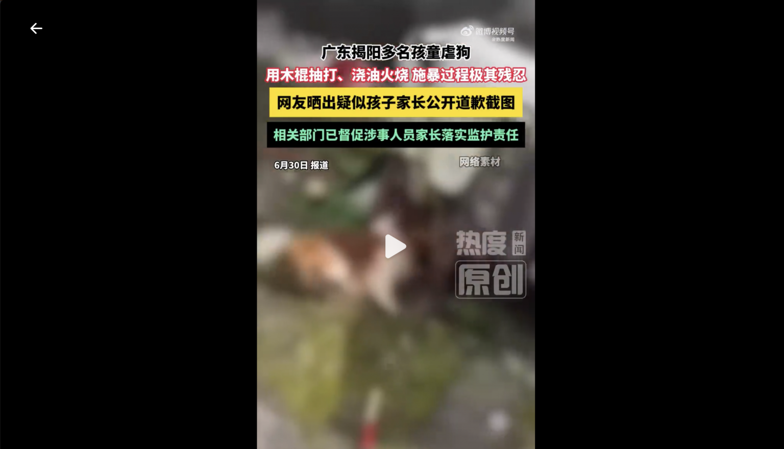 廣東少年殘忍虐狗引爆輿論 多地串連聲援