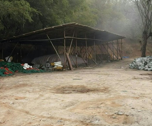 24倍二氧化硫熏出中国食安警报:竹笋为何要躲进山沟加工?从「甲醛白菜」到「硫磺熏笋」,中国食品安全为何总要靠网红揭开盖子?