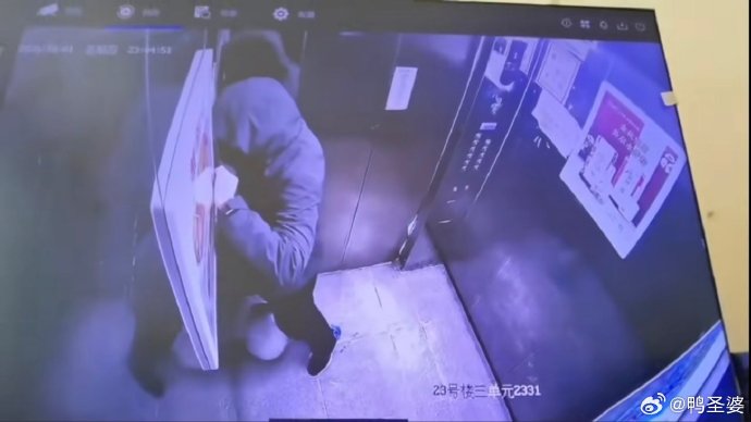 河南一對母子電梯內猛踩流浪貓致死